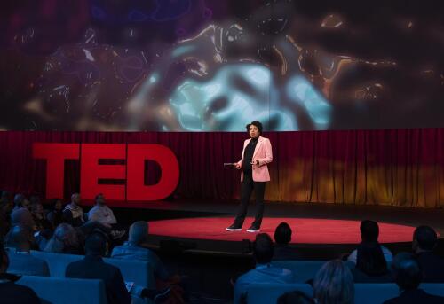 القفز بجرأة إلى الحقائق العالمية الجديدة:ملاحظات حول الجلسة 3 من TED2023