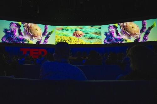 تحديات جديدة مذهلة وحلول مثيرة: الإعلانات البينية المذهلة لـ TED2024