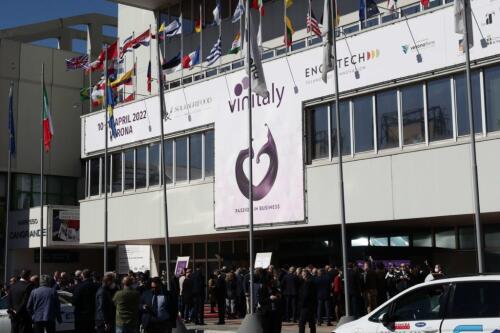 عضوية و"دولية" بشكل متزايد:يتم تقديم نبيذ ماركي في Vinitaly