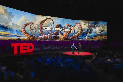 موسعات العقل:ملاحظات حول الجلسة الثانية من TED2024