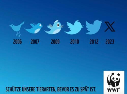 世界自然基金会和利用 Twitter X 谈论鸟类灭绝危险的巧妙广告