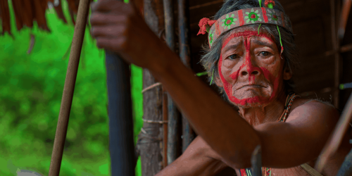 世界土著人民日：森林和生物多样性的守护者