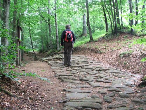 Das Wochenende „Walking in the Parks“ mit CAI ist zurück:70 Ausflüge in Schutzgebiete