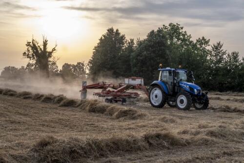 Klimawandel:Generali und Cattolica neben 4,5 Millionen Unternehmen