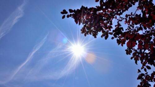 Wetter, Vorhersage für heute, 5. Juni 2024