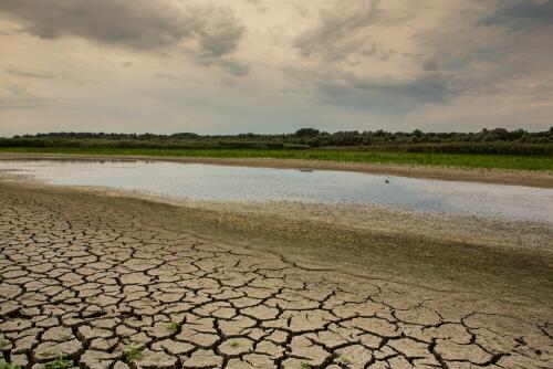 In Ecuador brachte eine alte indigene Technik Wasser in die trockene Stadt zurück