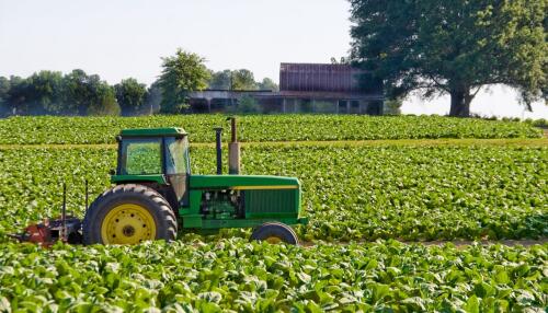 Landwirte gegen den Strich, diejenigen, die gegen den Klimawandel kämpfen:„Grüne EU-Politik?Notwendig“ – Die Interviews