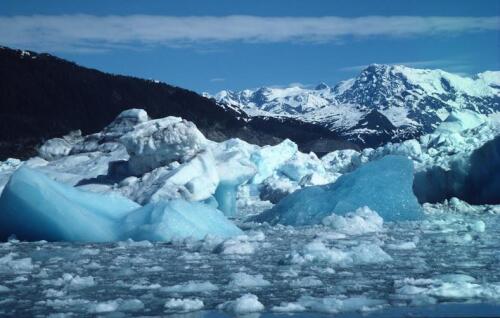 Das Geoengineering-Experiment zur Rettung des arktischen Eises:«Wir stellen es mit Meerwasser her»