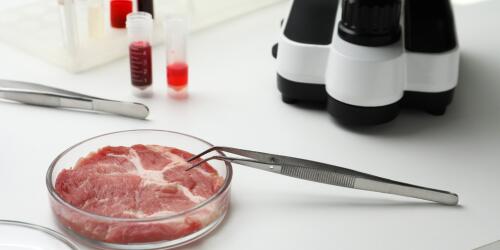 Nennen Sie es nicht synthetisch.Kulturfleisch ist ein Teil der Lösung