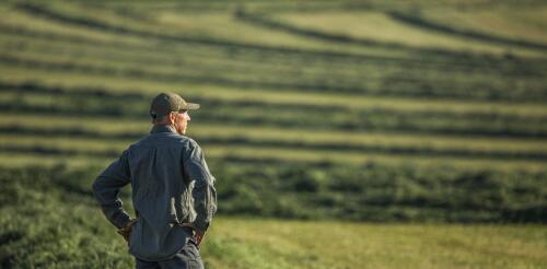 Amerikas Landwirte werden älter und junge Leute drängen nicht darauf, sich ihnen anzuschließen