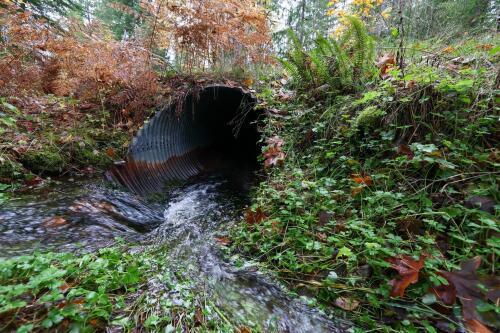 Entfernen Sie Durchlässe für die Klimaresilienz WAs