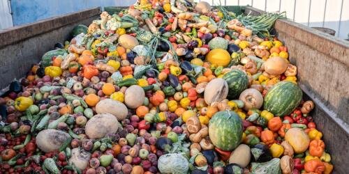 Laut dem Food Waste Index 2024-Bericht könnten wir mit verschwendeten Lebensmitteln die Hungernden auf der Welt ernähren