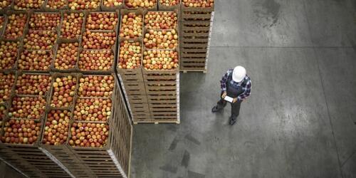 Der Übergang zu nachhaltigen Ernährungssystemen würde Vorteile in Höhe von 10 Billionen Dollar pro Jahr bringen.Die Studie