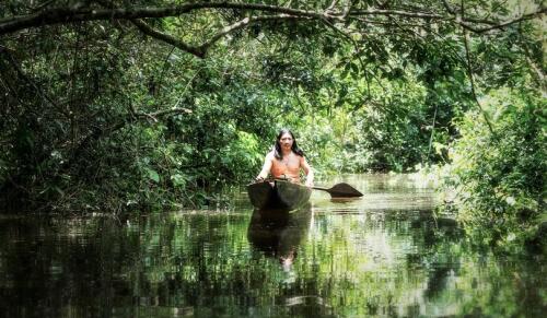 Im Amazonasgebiet ist die Entwaldung im achten Monat in Folge zurückgegangen