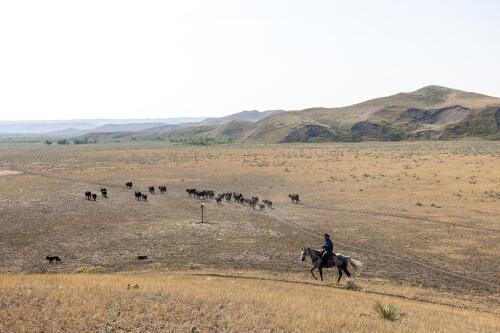 Argumente für Investitionen in die regenerative Landwirtschaft auf indigenen Farmen