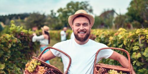 Wine in Action, das LifeGate Way-Programm für Innovation und Nachhaltigkeit im Weinsektor, ist im Gange