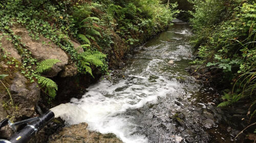 Selbst aufbereitetes Abwasser schadet den Süßwasserökosystemen