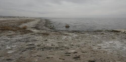 Durch menschliches Handeln entstand das Saltonmeer, Kaliforniens größter See. Hier erfahren Sie, wie Sie ihn vor dem Kollaps bewahren und so Wildvögel und die menschliche Gesundheit schützen können