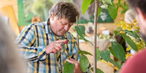 Aus Terra Madre 2024, sechs Vorschläge für eine neue Landwirtschaft