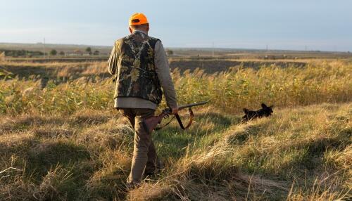 Die TAR Piemont hat die Jagd auf vier vom Aussterben bedrohte Arten eingestellt