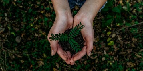 CO2-Gutschriften:Token, um die Produktion von Treibhausgasen zu verhindern