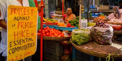 Tomatenkrise in Indien:Ernten, die durch extreme Klimaereignisse und explodierende Preise zerstört wurden