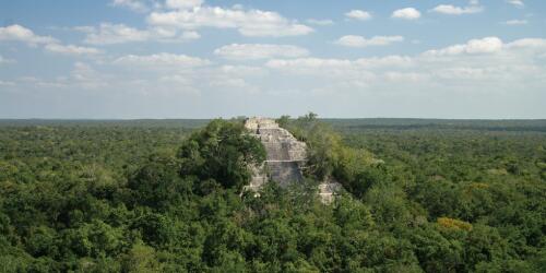 Im Dschungel Mexikos wurde zufällig eine alte Maya-Stadt entdeckt