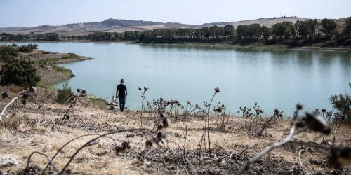 Die Klimakrise hat die Dürre in diesem Sommer auf Sizilien und Sardinien schwerwiegender und wahrscheinlicher gemacht