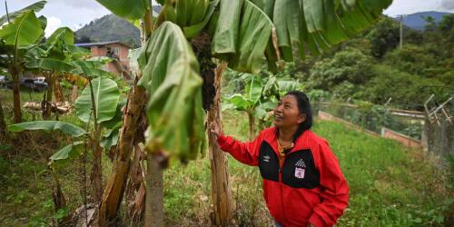 Even in Colombia, environmental activists will be protected by the Escazú Agreement