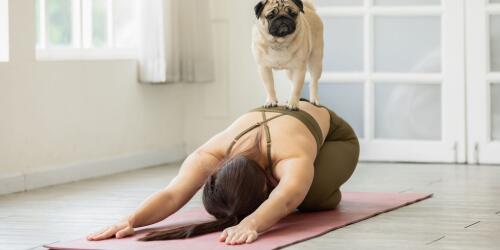 Puppy yoga:what it is and why it was banned in Italy