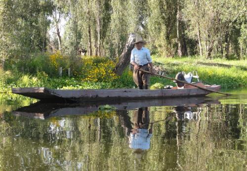 In Mexico, floating farms from the Aztec era are being restored