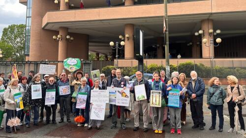 Turin:after months of struggle the citizens managed to save the trees of Corso Belgio