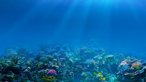 The European Parliament ratifies the Global Treaty for the Protection of the Oceans