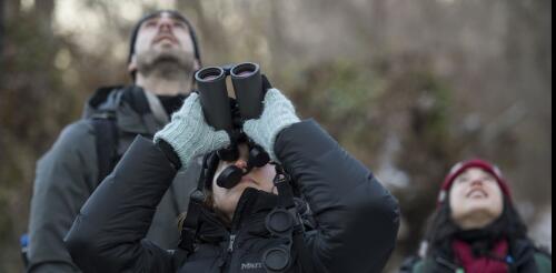 Why dozens of North American bird species are getting new names: Every name tells a story