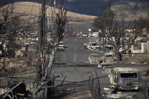 What caused the fires in Hawaii?The experts at the NYT:«Weeds used for animal grazing»