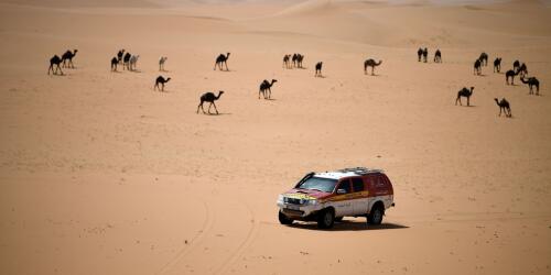 Dakar 2024:the legendary rally restarts between tradition, innovation and sustainability