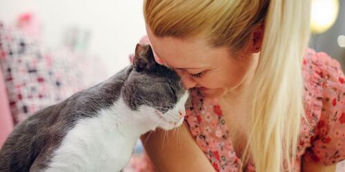 Toxoplasmosis, a disease that is increasingly less scary