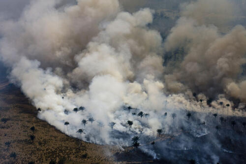 More fires in the Amazon:in May 120% more than in April.Because the cause is also on farms