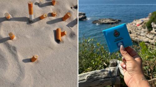 No to cigarette butts in the sea (which can kill fish and turtles), Sorrento gives away cigarette cases