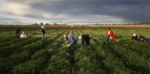 Sexual violence is a pervasive threat for female farm workers – here’s how the US could reduce their risk