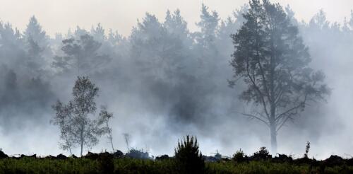 ‘Zombie fires’ in the Arctic: Canada’s extreme wildfire season offers a glimpse of new risks in a warmer, drier future