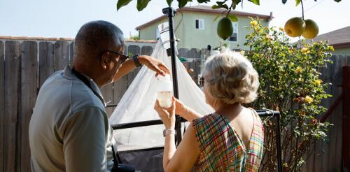 Bugs thrive in urban Los Angeles – volunteers’ traps reveal biodiversity hot spots for city insects and spiders