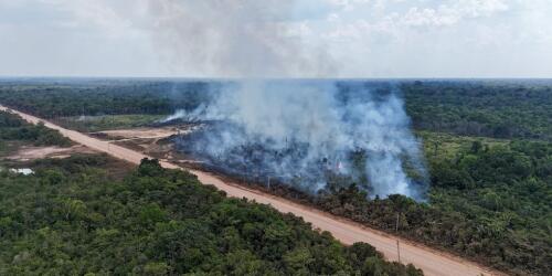 Brazil.President Lula announces that a disused highway in the Amazon rainforest will be completed