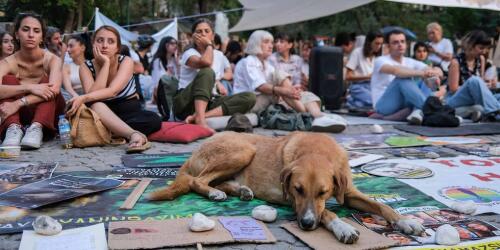 Turkey's parliament approves "slaughter law" on stray dogs