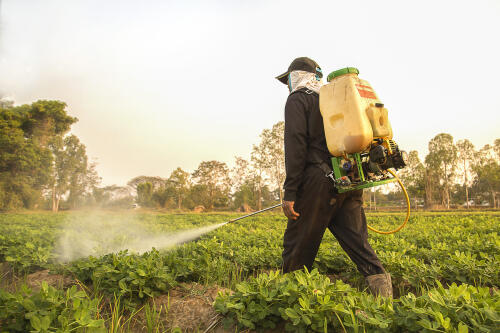 Glyphosate, historic ruling:Bayer ordered to pay 1.5 billion to three farmers