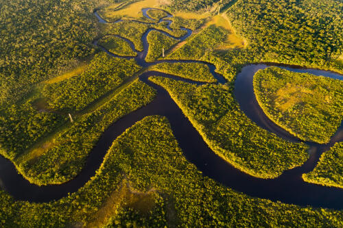 Deforestation in the Brazilian Amazon is at its lowest point in five years