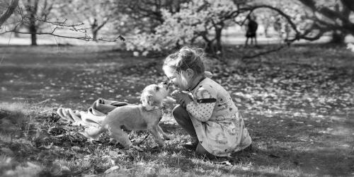 Pet therapy with chickens helps sick children find their smile again