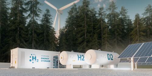 Green and low carbon hydrogen in the energy transition