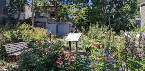 Food forests are bringing shade and sustenance to US cities, one parcel of land at a time