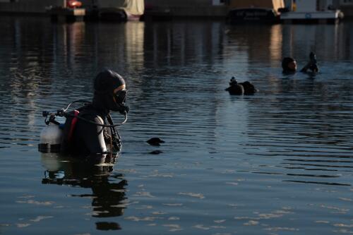 It Has No Predator and Spreads Quickly. Meet the Organism Causing Alarm in San Diego Bay